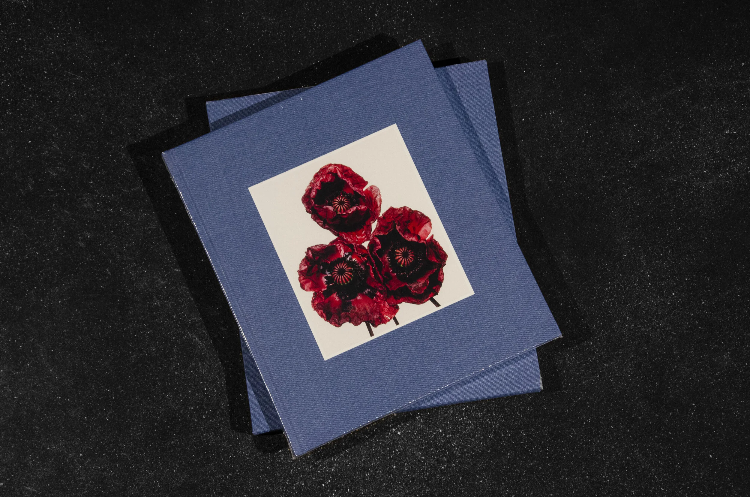 Irving Penn, Flowers, Special Edition — Hamiltons Gallery Shop
